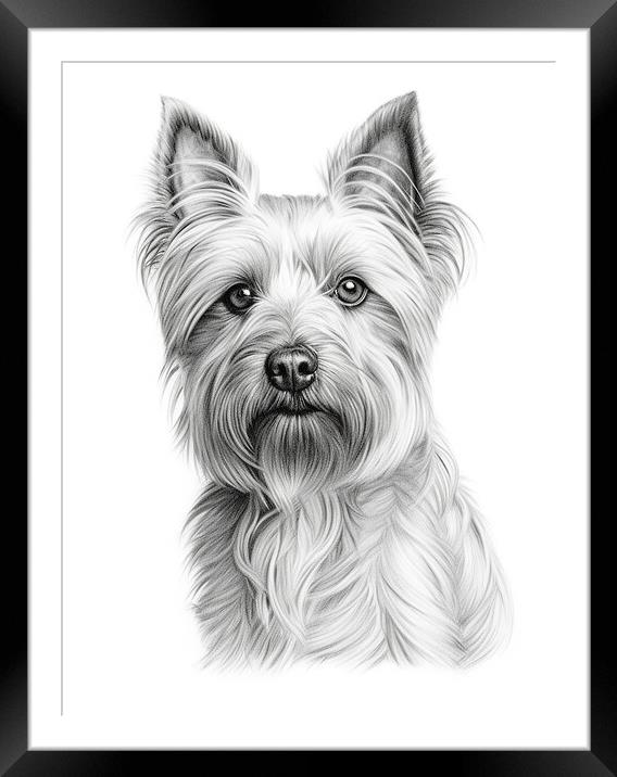 Australian Silky Terrier Pencil Drawing Framed Mounted Print by K9 Art