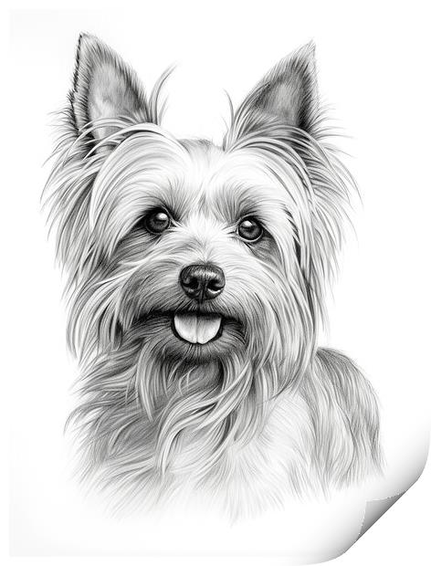 Australian Silky Terrier Pencil Drawing Print by K9 Art