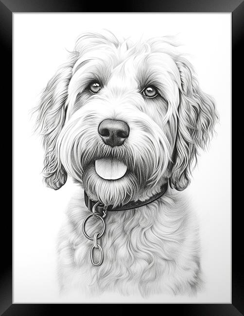 Barbet Pencil Drawing Framed Print by K9 Art