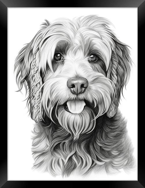 Barbet Pencil Drawing Framed Print by K9 Art