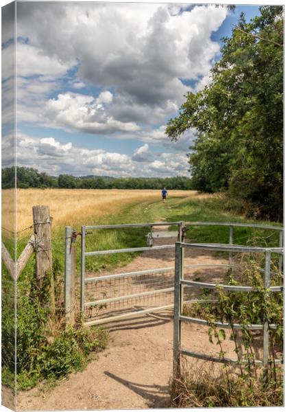 Gate on the Thames Path Canvas Print by Kevin Hellon