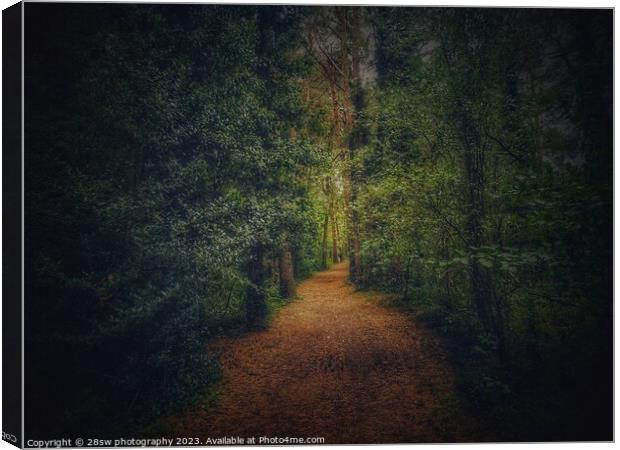 Walking through the Hybrid Autumn. Canvas Print by 28sw photography