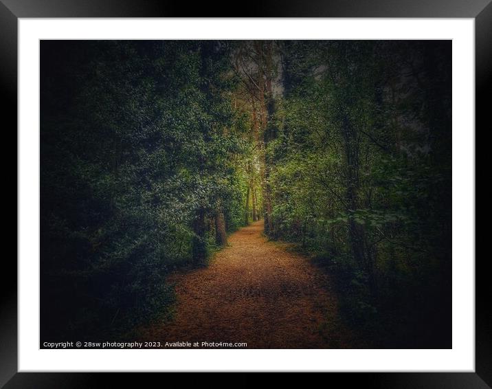 Walking through the Hybrid Autumn. Framed Mounted Print by 28sw photography