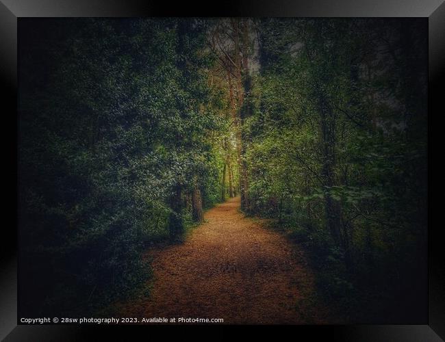 Walking through the Hybrid Autumn. Framed Print by 28sw photography