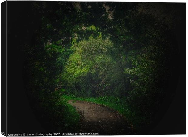 The Path to an Underworld. Canvas Print by 28sw photography