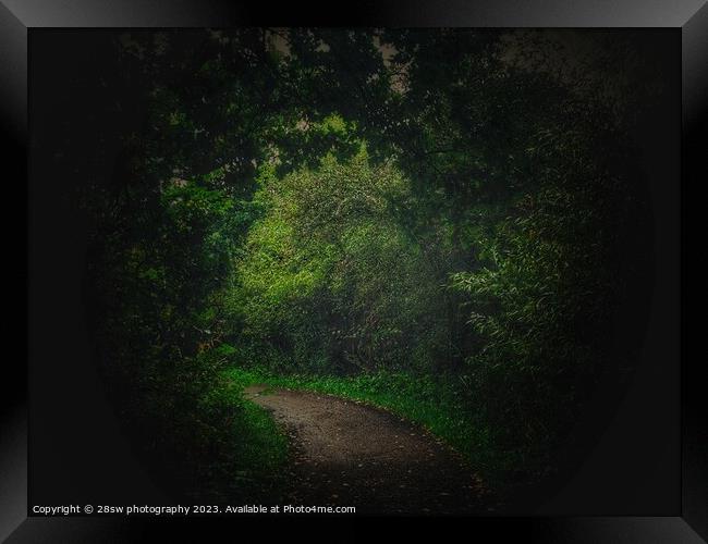 The Path to an Underworld. Framed Print by 28sw photography