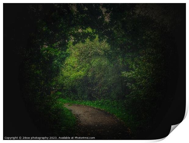 The Path to an Underworld. Print by 28sw photography