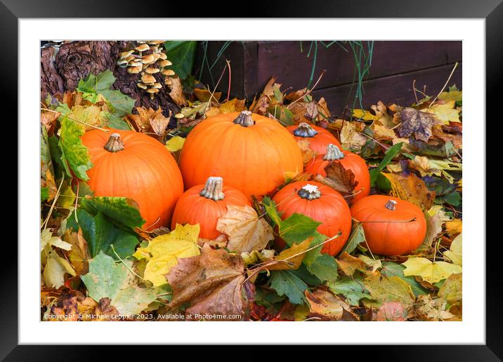 Seven Various Sized Pumpkins Framed Mounted Print by Michele Leppier
