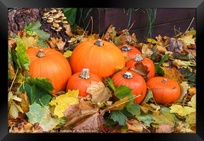Seven Various Sized Pumpkins Framed Print by Michele Leppier