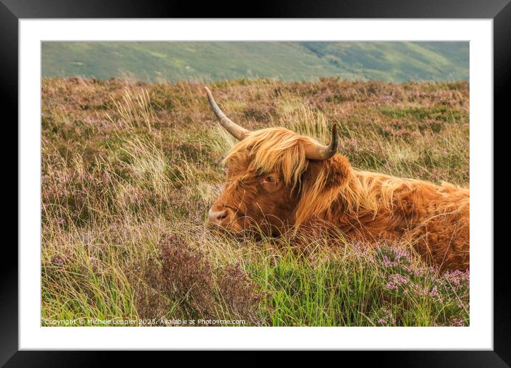 Highland Cow Framed Mounted Print by Michele Leppier