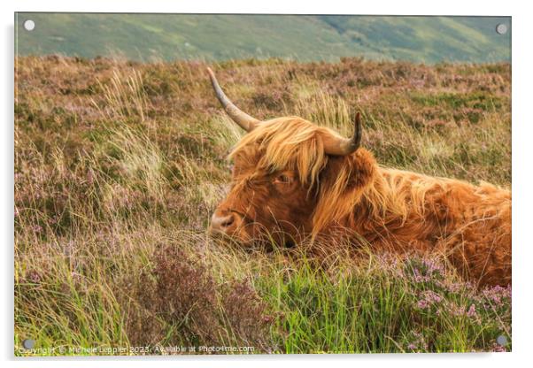 Highland Cow Acrylic by Michele Leppier
