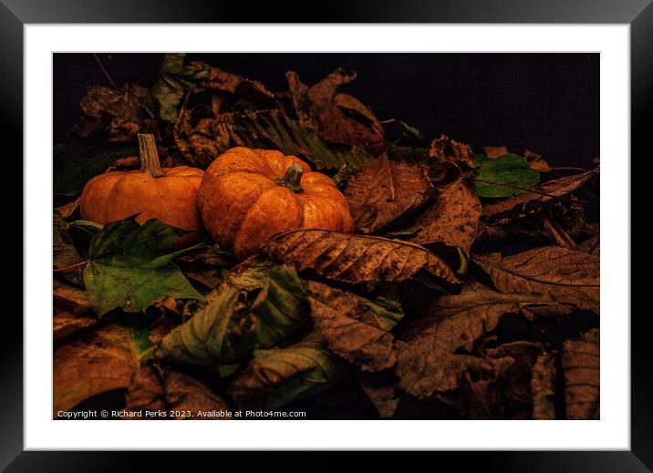 Autumn Pumpkins Framed Mounted Print by Richard Perks