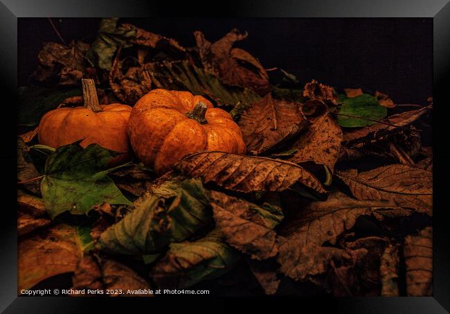 Autumn Pumpkins Framed Print by Richard Perks