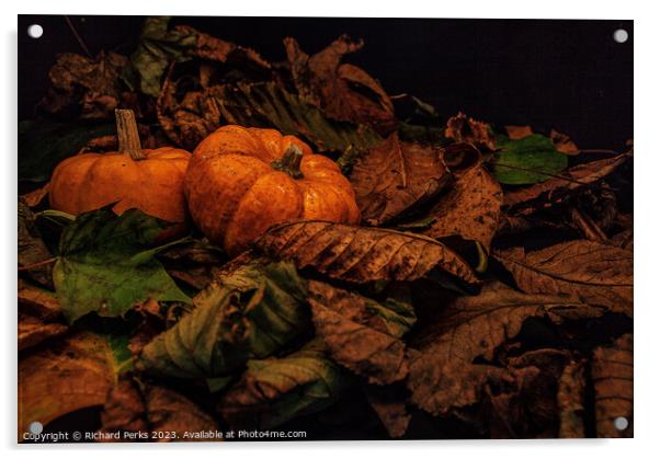 Autumn Pumpkins Acrylic by Richard Perks
