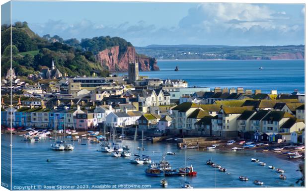 Teignmouth View across The River Teign Canvas Print by Rosie Spooner