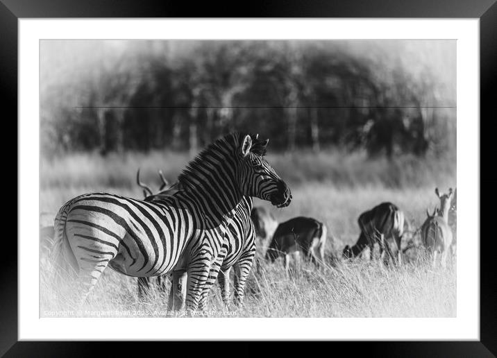 Standing Guard Framed Mounted Print by Margaret Ryan