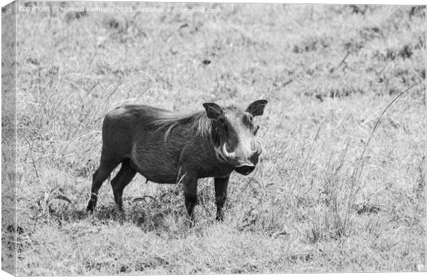Warthog female in black and white Canvas Print by Howard Kennedy