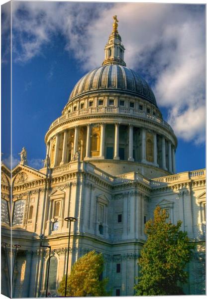 St Paul's Cathedral Canvas Print by Darren Galpin