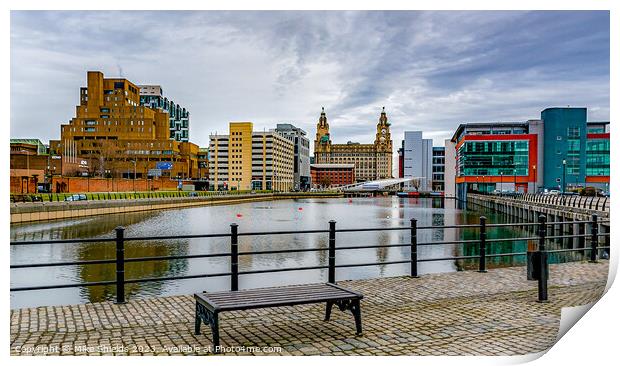 Princes Dock Liverpool Print by Mike Shields