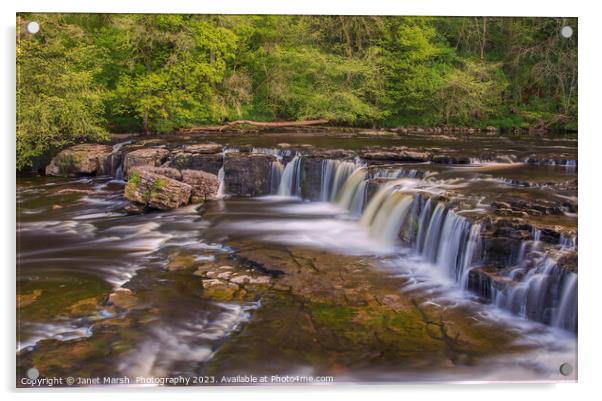 Aysgarth Falls- Yorkshire Dales  Acrylic by Janet Marsh  Photography