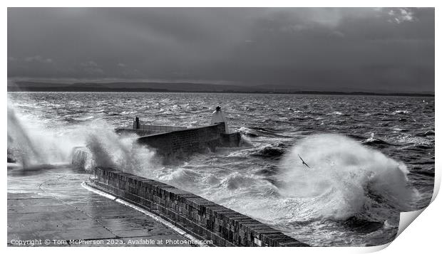 Rough Seas at Moray Firth Print by Tom McPherson