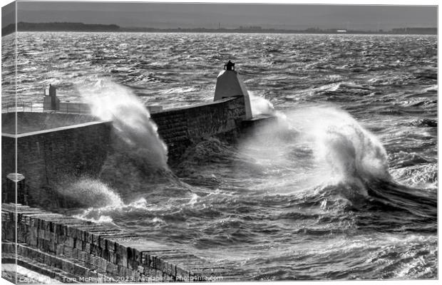 Rough Seas at Burghead Canvas Print by Tom McPherson