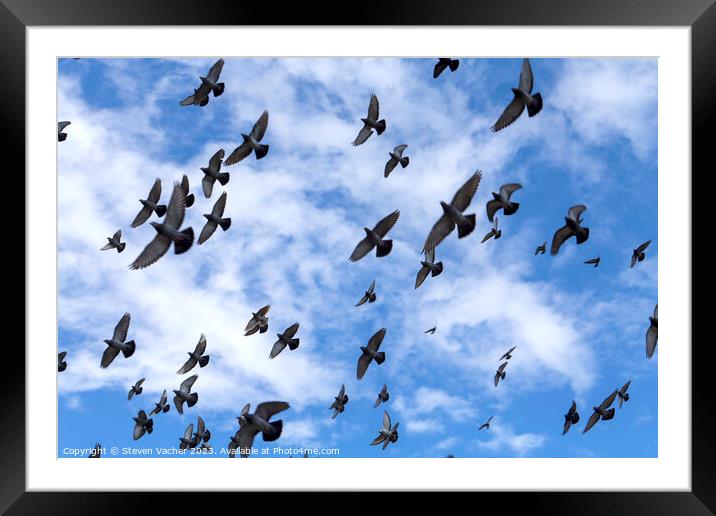 Taking flight Framed Mounted Print by Steven Vacher