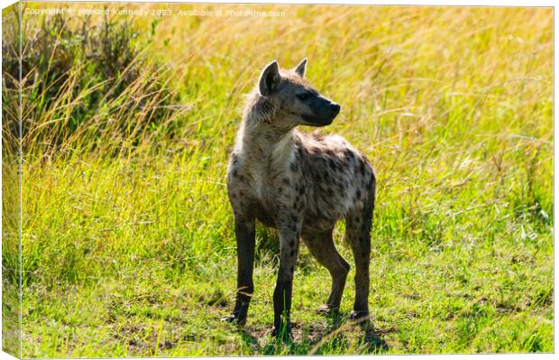 Spotted Hyena Canvas Print by Howard Kennedy