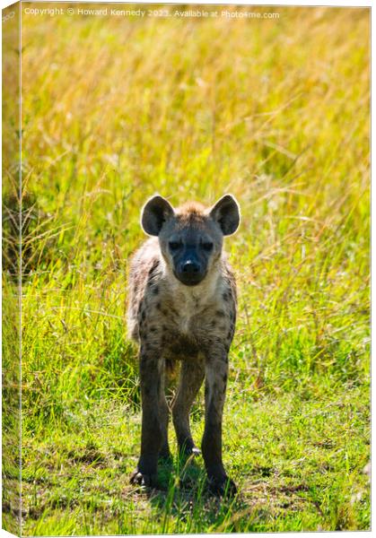 Curious Spotted Hyena Canvas Print by Howard Kennedy