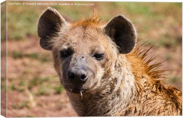 Spotted Hyena headshot Canvas Print by Howard Kennedy