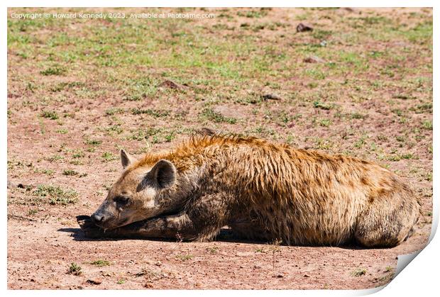 Spotted Hyena resting Print by Howard Kennedy