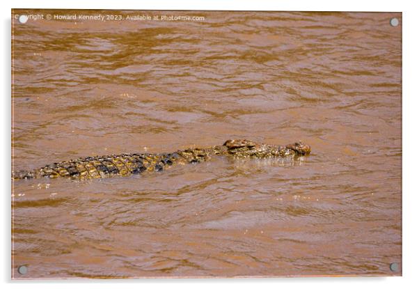 Nile Crocodile swimming in the Mara River Acrylic by Howard Kennedy