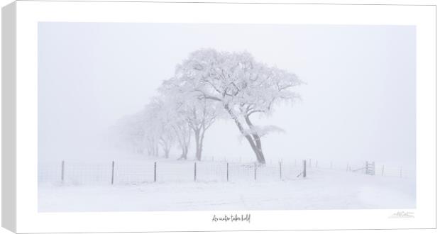 ITS BALTIC...... As winter takes hold Canvas Print by JC studios LRPS ARPS