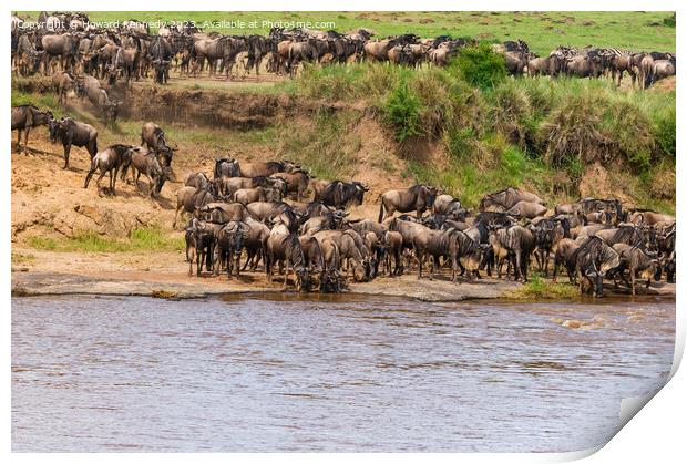Wildebeest approaching the Mara River during the Great Migration Print by Howard Kennedy