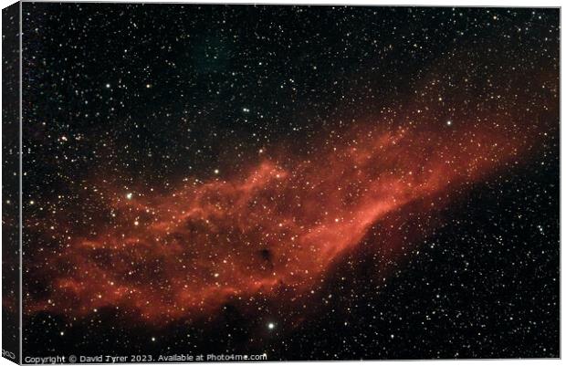NGC1499 - California Nebula Canvas Print by David Tyrer