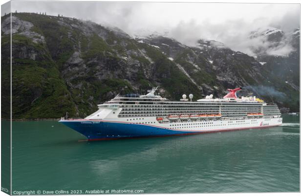 Carnival Spirit Cruise Liner in Tracy Arm Fjord, Alaska, USA Canvas Print by Dave Collins