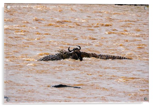 Wildebeest versus Crocodiles Acrylic by Howard Kennedy
