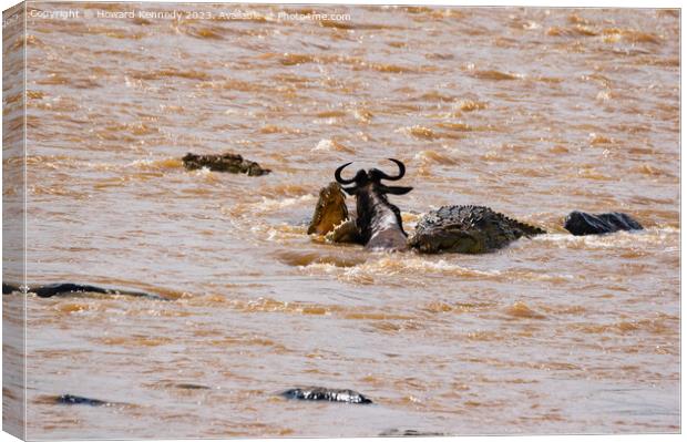Wildebeest fighting for its life against several Crocodiles Canvas Print by Howard Kennedy