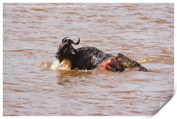 Wildebeest fighting for its life against several Crocodiles Print by Howard Kennedy