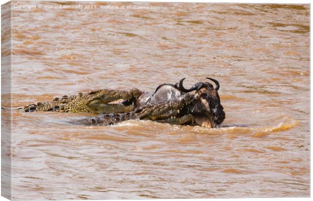 Wildebeest versus Crocodiles Canvas Print by Howard Kennedy