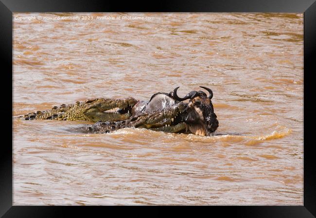 Wildebeest versus Crocodiles Framed Print by Howard Kennedy