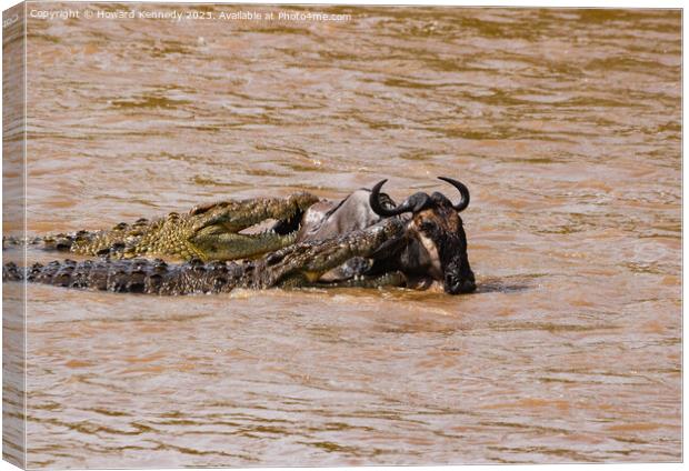 Wildebeest attacked by Crocodiles Canvas Print by Howard Kennedy