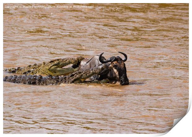 Wildebeest attacked by Crocodiles Print by Howard Kennedy