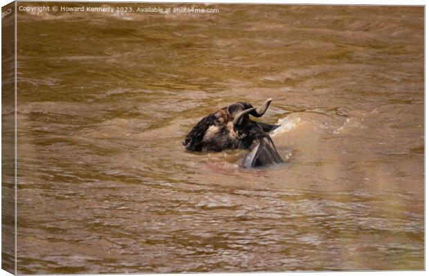 Wildebeest escapes from Crocodiles Canvas Print by Howard Kennedy