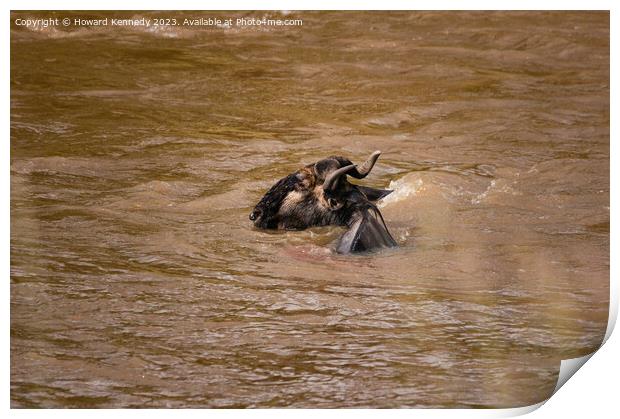 Wildebeest escapes from Crocodiles Print by Howard Kennedy