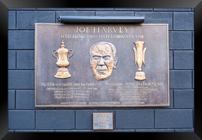 Joe Harvey Newcastle United Framed Print by STADIA 