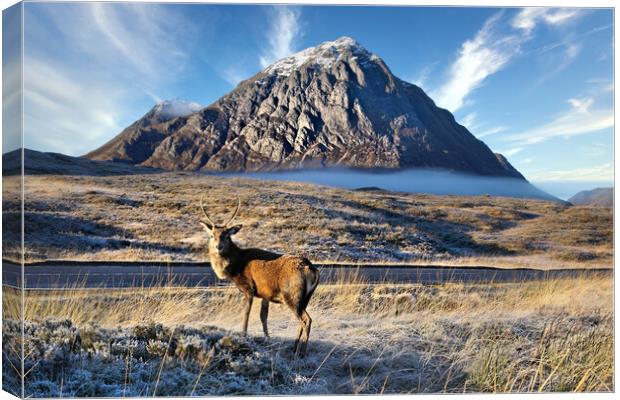 First signs of Wintyer in Glencoe Canvas Print by JC studios LRPS ARPS