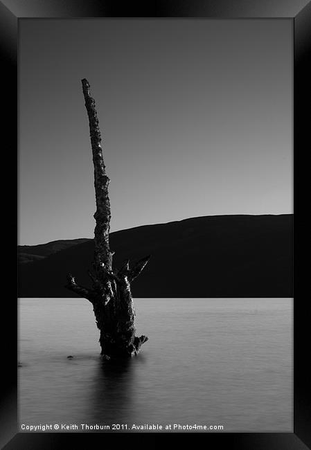 Dead Tree at Loch Rannoch Framed Print by Keith Thorburn EFIAP/b