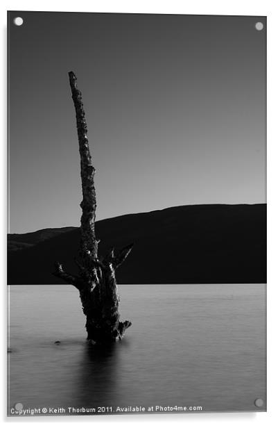 Dead Tree at Loch Rannoch Acrylic by Keith Thorburn EFIAP/b