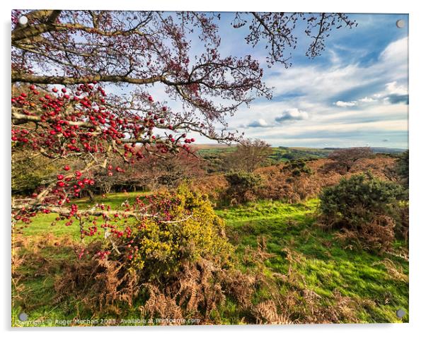 Autumn colours on Dartmoor Acrylic by Roger Mechan